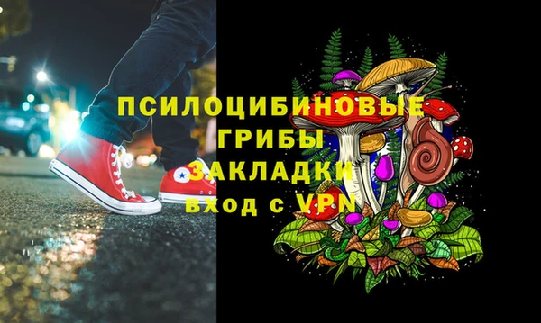 мяу мяу мука Белокуриха