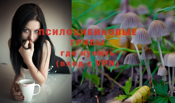 мяу мяу мука Белокуриха