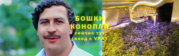 мяу мяу мука Белокуриха